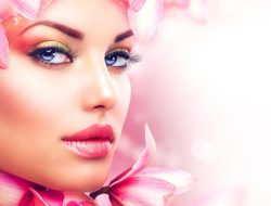 Beauty Html Unlocking The Secrets Of Translation