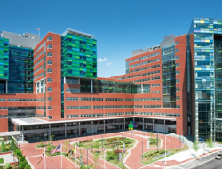 World Best Hospital Where Healing Meets Excellence