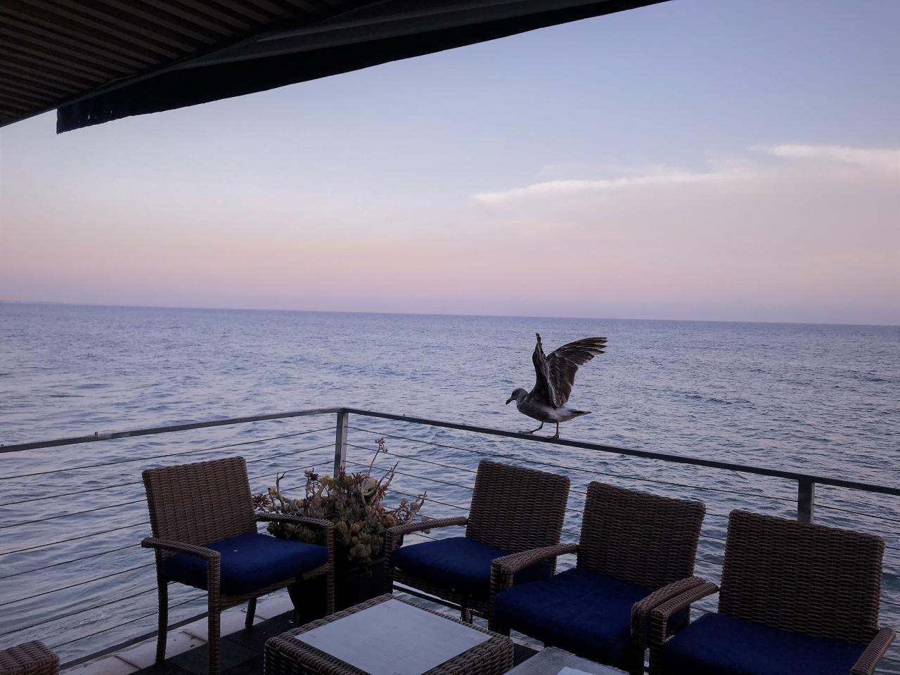 Oceanside Malibu