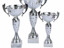 Best Cyber Security Awareness Training That Protects You