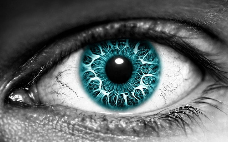 1920x1080px | free download | HD wallpaper: human blue and black eye ...